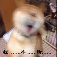 Joe 报名时间：2025-07-22 21:05