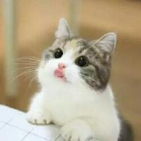 小九 报名时间：2019-05-09 18:50